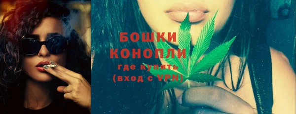 индика Волоколамск