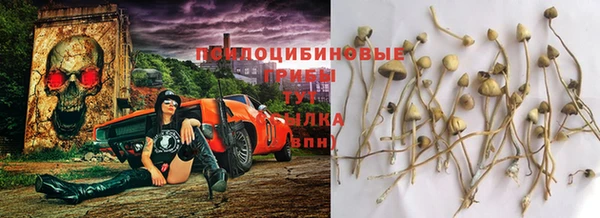 дживик Волосово