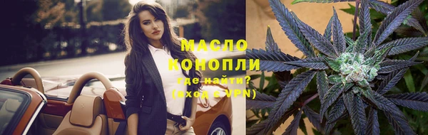 индика Волоколамск