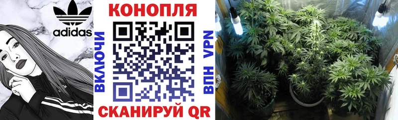 Купить закладки  Сольвычегодск  Марихуана SATIVA & INDICA 